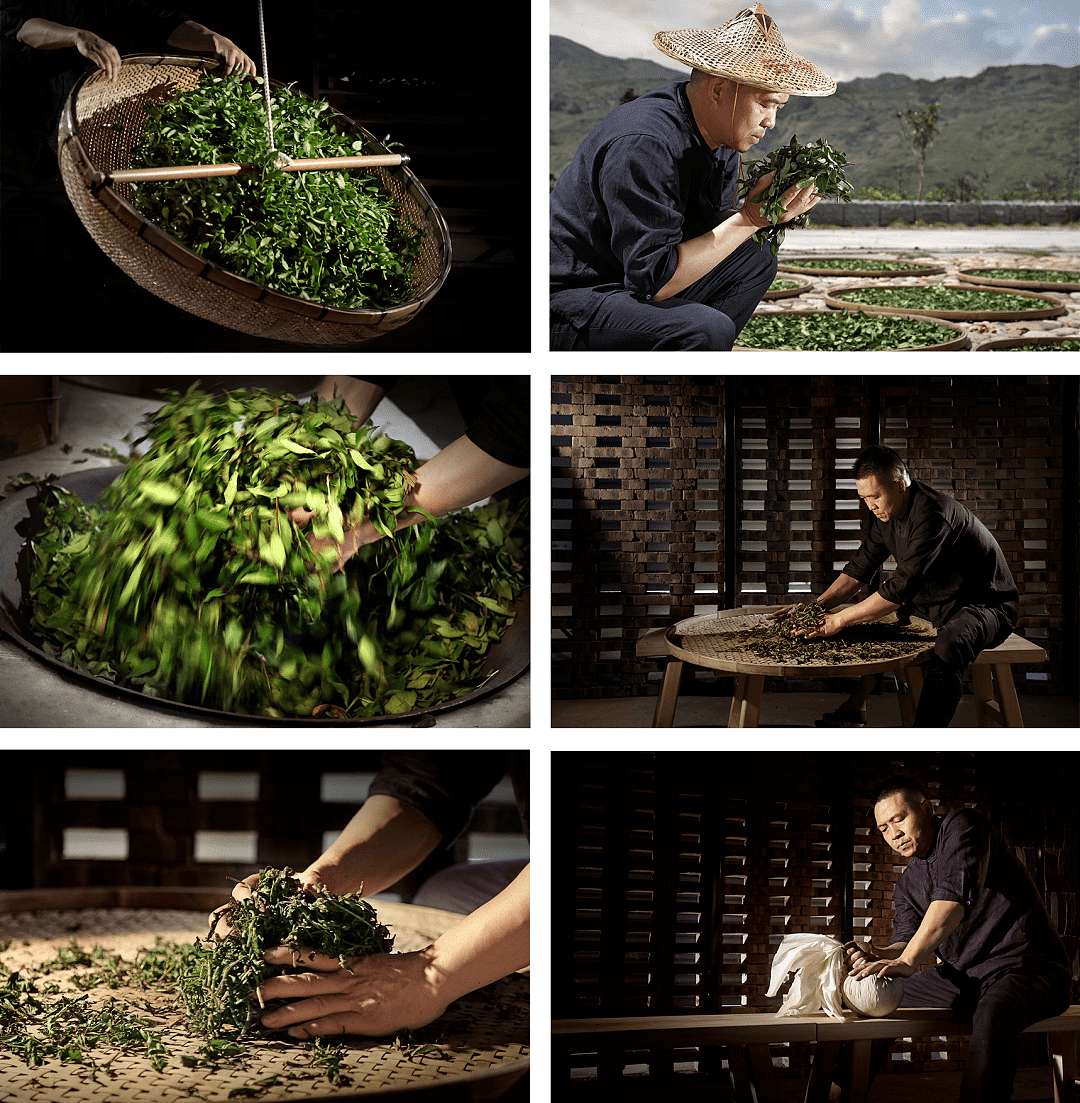 茶醉桃溪，十年磨一剑，书写国风茶饮新篇章